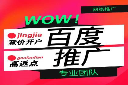 SEM推广公司案例：打造行业领军品牌